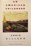 american-childhood-1_52-100x150
