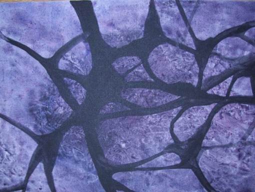 potrait of neurons