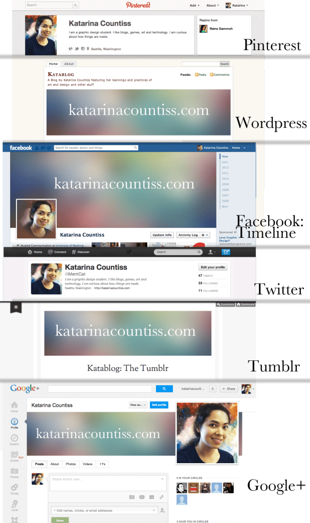 Screen Grabs of Katarina Countiss' Social Media Profiles Across the Web