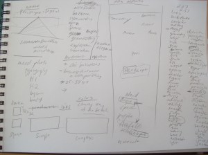 brand definition meeting notes