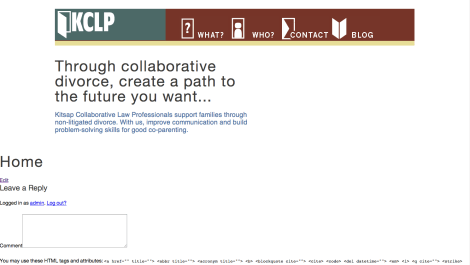 What I presented at critique today.