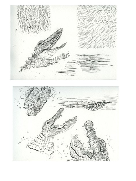 drawingcluballigators