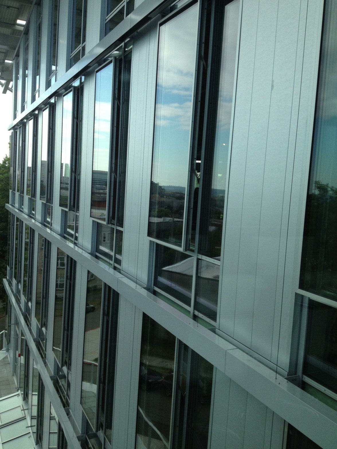 Intentional Future's windows Intentional Future's windows