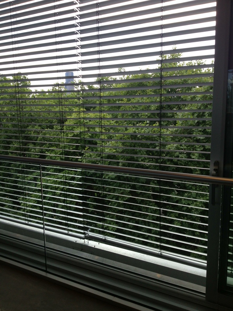 One of Intentional Future's large open windows One of Intentional Future's large open windows